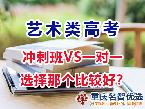 藝術生高考文化課沖刺班好還是一對一補習效果好？